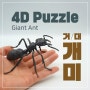 4D 퍼즐 - 자이언트 개미 / 거대개미