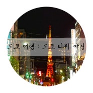 일본 도쿄 가볼 만한 곳 :롯본기에서 바라본 도쿄타워 야경