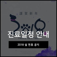 유앤아이피부과 2018년 설연휴 공지드립니다! :)