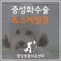 [광장동 동물병원] 강아지 중성화수술, 스케일링 - 광장동물의료센터 / 광진구 광장동 군자동 자양동 천호동 구의동 구리 동물병원