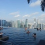8월 싱가포르 여행 넷째날 ; 마리나베이 샌즈호텔 인피니티풀 / 가든스바이 더 베이 '플라워돔 ', 'The Falls' / East Coast '씨푸드 센터' 점보씨푸드' /