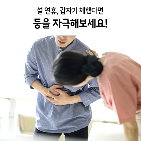 설 연휴 '댕댕이' 걱정에 잠 못 이룬다면···'이 곳' 찾으세요 : 네이트 뉴스