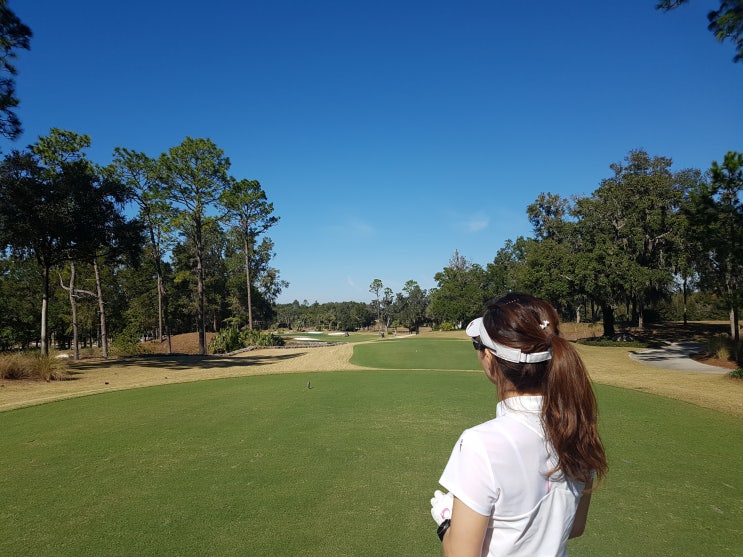 미국 골프장 특징/ 플로리다 올랜도 골프투어 골프장 예약하기,방법(골프나우닷컴) : 네이버 블로그