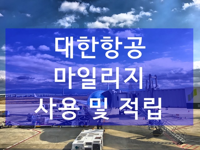 대한항공 마일리지 확인 및 사용처 팁! : 네이버 블로그