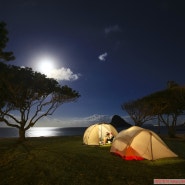 태강태산 - 하와이 캠핑 자유여행 여섯째날 (힐튼 하와이안 빌리지,Kualoa Regional Park Campground)