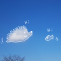 파란하늘 고슴도치 구름