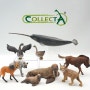 CollectA 컬렉타 2012, 2013 - 바다코끼리, 거위, 흰꼬리누, 줄무늬하이에나, 스라소니, 갈기늑대, 외뿔고래, 일각고래