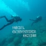 언더더씨~ 제주 서귀포 성산 우도잠수함 해저 모습