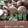신이내린 음식 표고버섯 / 이시마표고버섯/유기농표고버섯/지리산피아골표고버섯