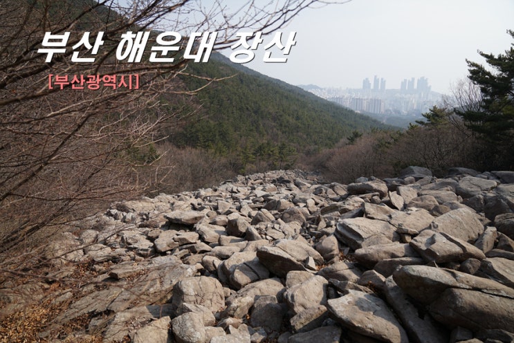 부산 장산 산행 634m : 해운대구 장산 등산코스 대천공원 원점복귀 : 네이버 블로그