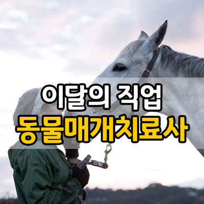 [진로직업] 동물과 함께 사람을 치유하는 직업, 동물매개치료사 : 네이버 블로그