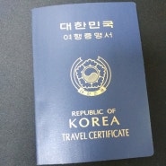 일본에서 여권 잃어버렸을 때