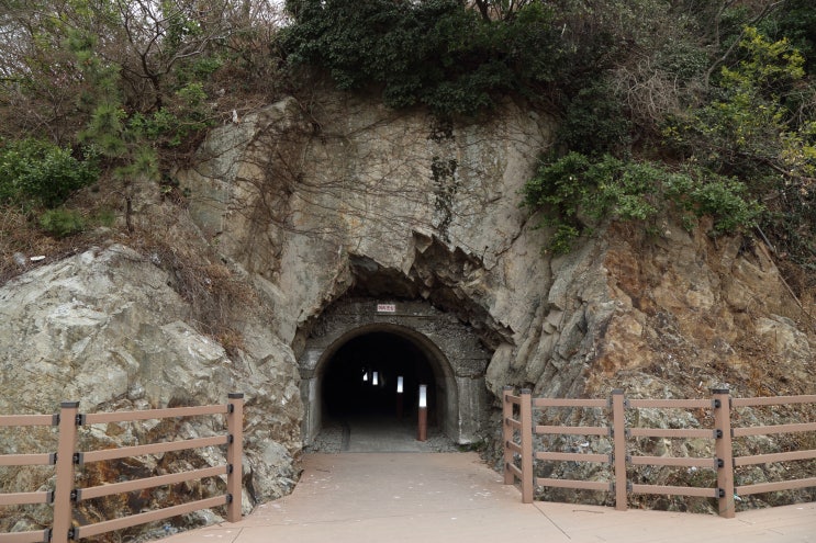 부산 가볼만한곳 가덕도 대항 인공 동굴 : 네이버 블로그