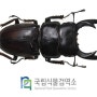 [한국FP협회] 사람들이 곤충을 먹는다고? '식용 곤충산업과 미래'