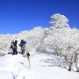 덕유산 눈꽃산행, 설국 심설산행(중봉-향적봉)