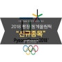 2018 평창동계올림픽에서 선보인 신규종목