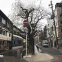 2018 오사카 2박3일 자유여행 교토를 찾다.