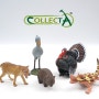 CollectA 컬렉타 2016년 - 도깨비도마뱀, 칠면조, 슈빌, 태즈매니아 주머니늑대, 웜뱃, 넙적부리황새