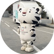 2018 평창동계올림픽 강릉올림픽파크 다녀왔어요