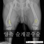 [운정동물의료센터] 슬개골탈구수술