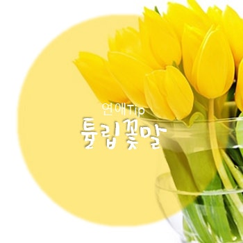 노란튤립 꽃말 중요해요 : 네이버 블로그