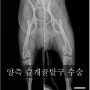 슬개골탈구 교정술 - [운정24시동물의료센터] 파주24시동물병원, 운정24시동물병원, 일산24시 동물병원