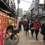 [분쿄쿠 네즈] 네즈역 根津駅 센다기역千駄木駅 주변 어슬렁어슬렁 산책하기