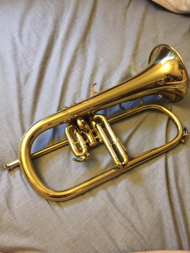 Couesnon Flugelhorn 네이버 블로그