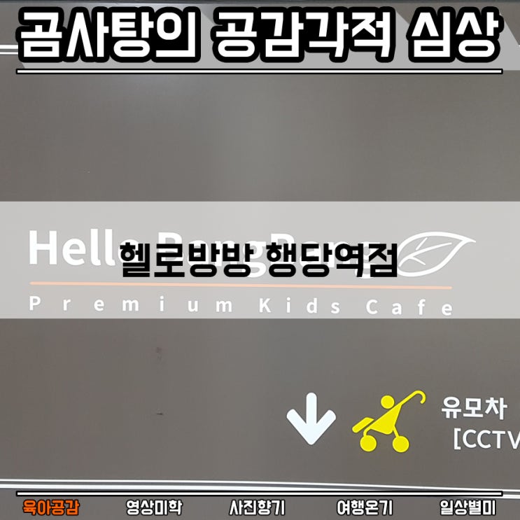 서울 트램펄린 키즈카페 헬로방방 행당역점 방문후기