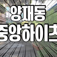 양재동 고급빌라 중앙하이츠 빛이좋은 집