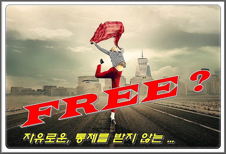 【현대, 올뉴 투싼】 스미스클럽의 장인정신은 FREE 가 태양의 앞/뒤로 붙게 만든다... [스미스 필름 T2] 윈도우 썬팅 ...