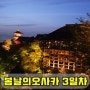 <교토>꽃청춘3♡ 3일차Ⅱ- 카츠규에서 규카츠 / 기요즈미데라(청수사) 야간라이트업/ 오멘 츠케우동