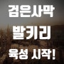 검은사막 정식 출시는 발키리로 시작!!!