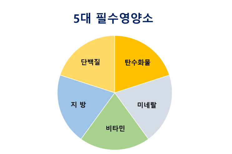 5대 필수영양소 알아보기 : 네이버 블로그