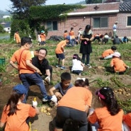 양주시 산북초등학교 어린이들과 함께한 감자캐기 체험