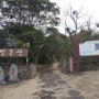 [제주도 조천읍] 효리네민박에도 출연한 동백나무 군락지 동백동산
