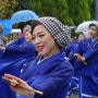 일본 간사이 8일차 : 오사카 - 사카이 축제, 센슈 요사코이 에에자나이카 축제, 린쿠타운, 어묵 맛집 하나쿠시라