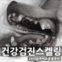 강아지 건강검진 스케일링 - 문정동 동물병원