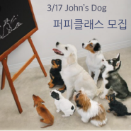 3/17 John's Dog 좐네강아지 퍼피클래스 모집
