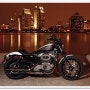 Harley-Davidson 나잇스터 XL1200N 이야기