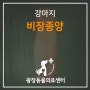 [광장동 동물병원] 강아지 비장종양 - 광장동물의료센터 / 광진구 광장동 군자동 자양동 천호동 구의동 구리 동물병원