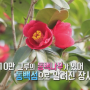 KBS2 생생정보에 소개된 봄맞이 장사도해상공원