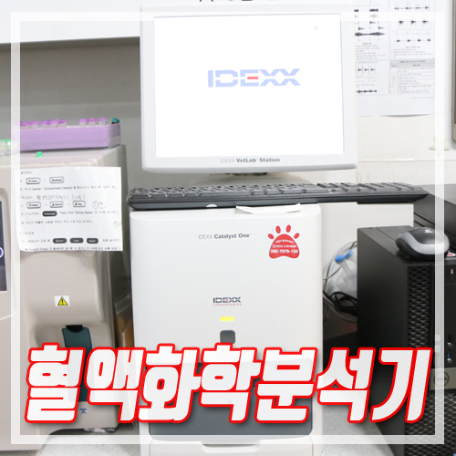 [안산동물병원] 혈액화학분석기 Catalyst One & Catalyst Dx : 네이버 블로그