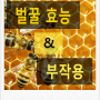벌꿀의 효능과 꿀 부작용,벌꿀효능