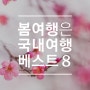 봄꽃 여행 데이트코스 명소 매화, 산수유, 개나리 축제 BEST 8