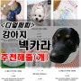 이쁘고 편안한 고양이 강아지 넥카라 추천해줄(개)~ 디얼퍼피는 모두 맞춤 제작이 가능해서 중형견 대형견 모두 가능하다(개)!