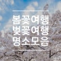 봄꽃여행 벚꽃여행 데이트코스 베스트 명소모음 15