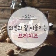 [와인독학]제2장.와인과 잘 어울리는 "브리치즈"