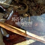 236. 충남 서천군 희리산해송자연휴양림 - 조용한 캠핑 (1박2일)