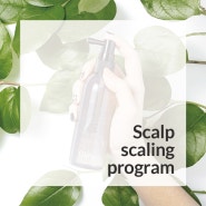 두피 청정 관리 프로그램(Scalp scaling program)